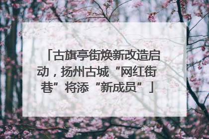 古旗亭街焕新改造启动，扬州古城“网红街巷”将添“新成员”
