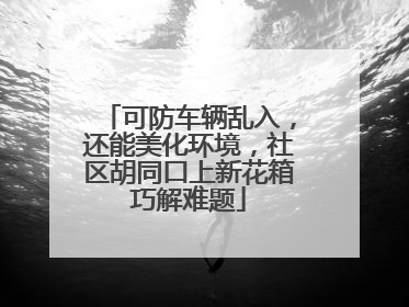 可防车辆乱入，还能美化环境，社区胡同口上新花箱巧解难题