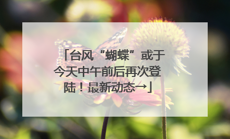 台风“蝴蝶”或于今天中午前后再次登陆！最新动态→