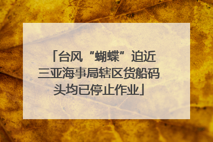 台风“蝴蝶”迫近 三亚海事局辖区货船码头均已停止作业