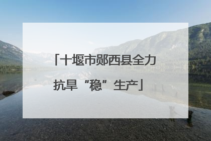 十堰市郧西县全力抗旱“稳”生产