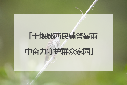 十堰郧西民辅警暴雨中奋力守护群众家园