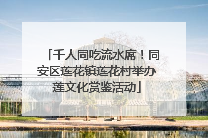 千人同吃流水席！同安区莲花镇莲花村举办莲文化赏鉴活动