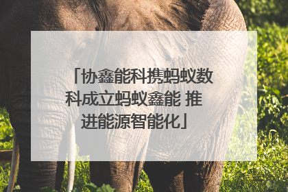 协鑫能科携蚂蚁数科成立蚂蚁鑫能 推进能源智能化