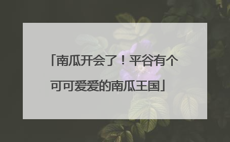 南瓜开会了！平谷有个可可爱爱的南瓜王国