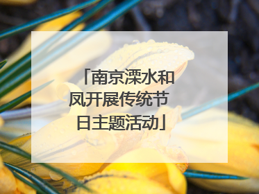 南京溧水和凤开展传统节日主题活动