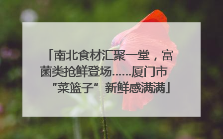南北食材汇聚一堂，富菌类抢鲜登场……厦门市“菜篮子”新鲜感满满
