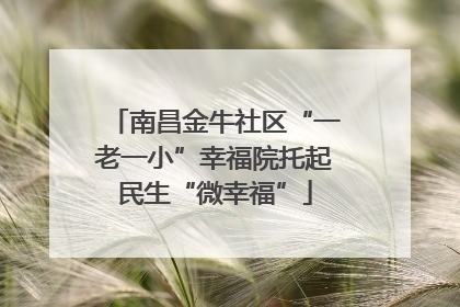 南昌金牛社区“一老一小”幸福院托起民生“微幸福”