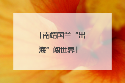 南靖国兰“出海”闯世界