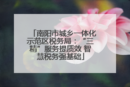 南阳市城乡一体化示范区税务局：“三精”服务提质效 智慧税务强基础
