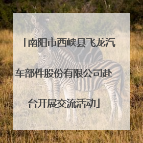 南阳市西峡县飞龙汽车部件股份有限公司赴台开展交流活动