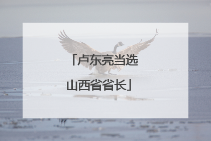 卢东亮当选山西省省长