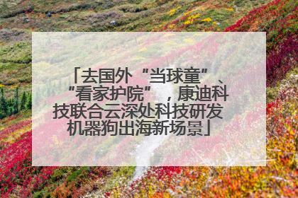 去国外“当球童”、“看家护院”，康迪科技联合云深处科技研发机器狗出海新场景
