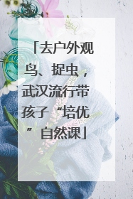 去户外观鸟、捉虫，武汉流行带孩子“培优”自然课