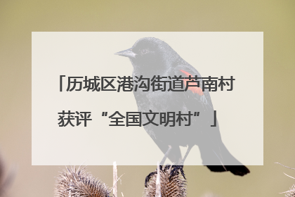 历城区港沟街道芦南村获评“全国文明村”