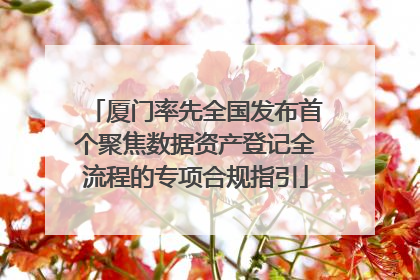 厦门率先全国发布首个聚焦数据资产登记全流程的专项合规指引
