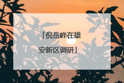 倪岳峰在雄安新区调研