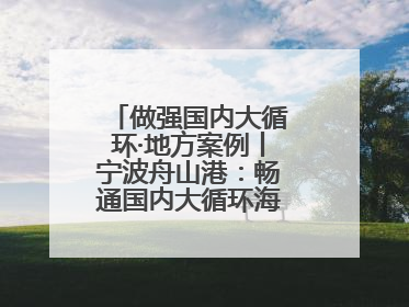 做强国内大循环·地方案例丨宁波舟山港：畅通国内大循环海铁联运走天下