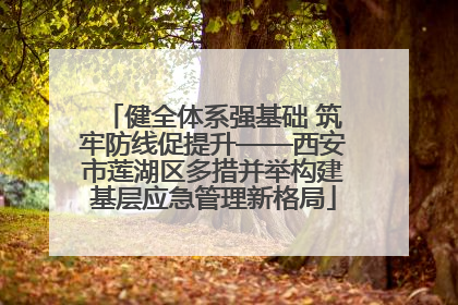 健全体系强基础 筑牢防线促提升——西安市莲湖区多措并举构建基层应急管理新格局