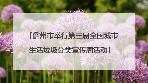 儋州市举行第三届全国城市生活垃圾分类宣传周活动