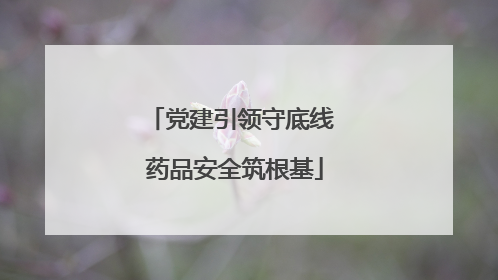 党建引领守底线 药品安全筑根基