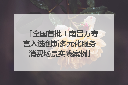 全国首批！南昌万寿宫入选创新多元化服务消费场景实践案例