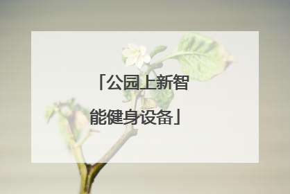 公园上新智能健身设备