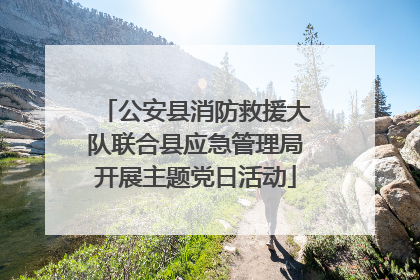 公安县消防救援大队联合县应急管理局开展主题党日活动