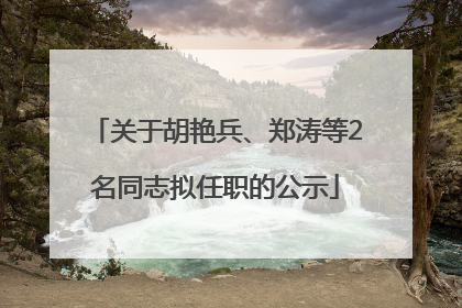 关于胡艳兵、郑涛等2名同志拟任职的公示