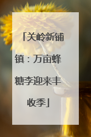 关岭新铺镇：万亩蜂糖李迎来丰收季