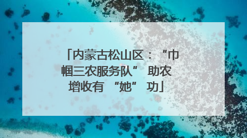 内蒙古松山区：“巾帼三农服务队” 助农增收有 “她” 功