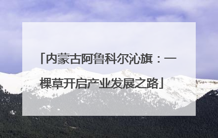 内蒙古阿鲁科尔沁旗：一棵草开启产业发展之路