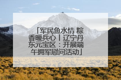 军民鱼水情 粽香暖兵心丨辽宁丹东元宝区：开展端午拥军慰问活动