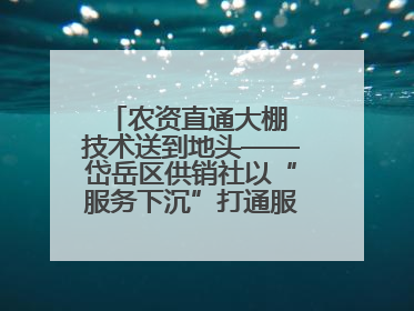 农资直通大棚 技术送到地头——岱岳区供销社以“服务下沉”打通服务“三农”最后一公里