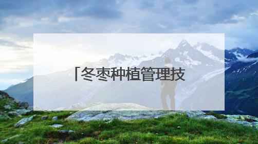 冬枣种植管理技术培训到地头