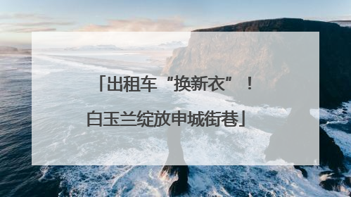 出租车“换新衣”！白玉兰绽放申城街巷