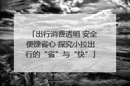 出行消费透明 安全便捷省心 探究小拉出行的“省”与“快”