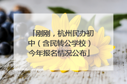 刚刚，杭州民办初中（含民转公学校）今年报名情况公布