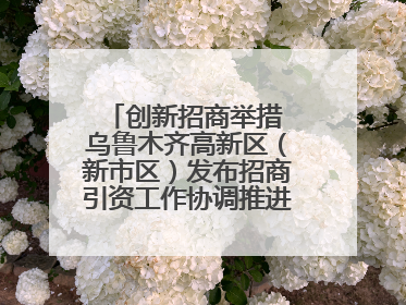 创新招商举措 乌鲁木齐高新区（新市区）发布招商引资工作协调推进机制 打造投资发展新高地