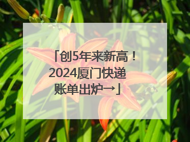 创5年来新高！2024厦门快递账单出炉→