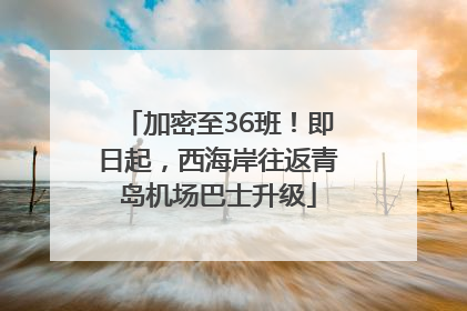 加密至36班！即日起，西海岸往返青岛机场巴士升级