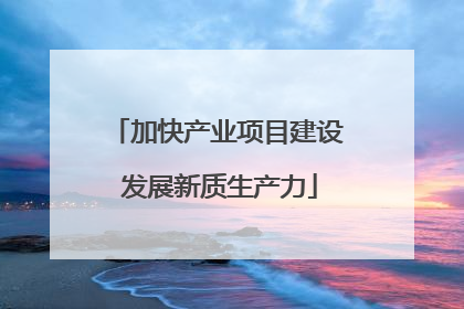 加快产业项目建设 发展新质生产力