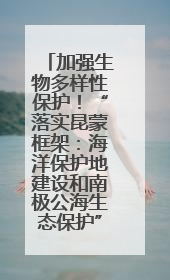 加强生物多样性保护！“落实昆蒙框架：海洋保护地建设和南极公海生态保护”主题论坛将举办