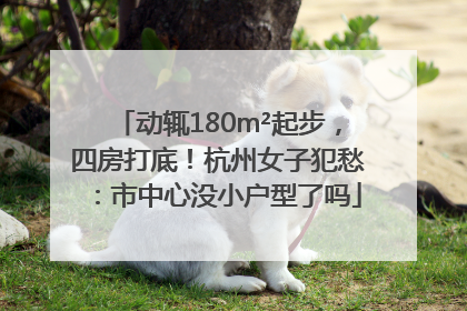 动辄180m²起步，四房打底！杭州女子犯愁：市中心没小户型了吗