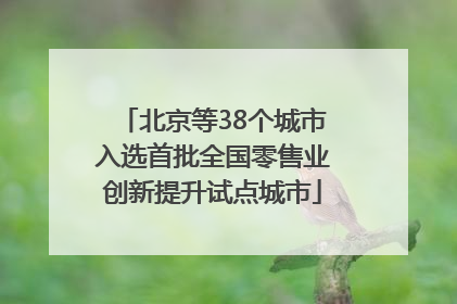 北京等38个城市入选首批全国零售业创新提升试点城市