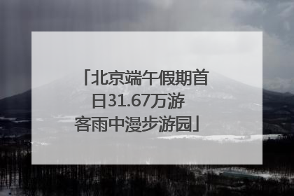 北京端午假期首日31.67万游客雨中漫步游园