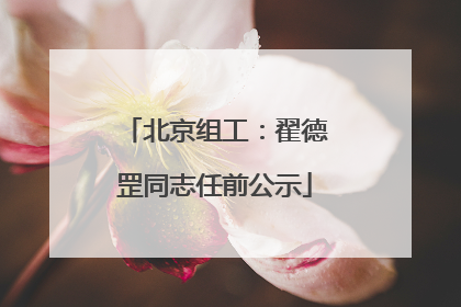 北京组工：翟德罡同志任前公示