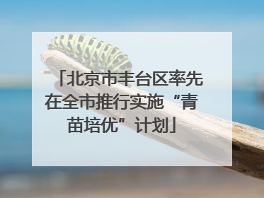 北京市丰台区率先在全市推行实施“青苗培优”计划