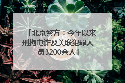 北京警方：今年以来刑拘电诈及关联犯罪人员3200余人