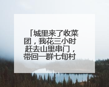 城里来了收菜团，我花三小时赶去山里串门，带回一群七旬村民的心愿